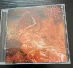 2025年最新】Morbid Angel モービッドエンジェルの人気アイテム