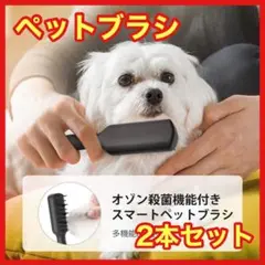 Item thumbnail for item c9424c00-f4d8-4551-92ce-92c7293c2834