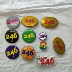 ２４６ＧＲＯＵＰ 缶バッジ 12＋ラバーキーホルダー