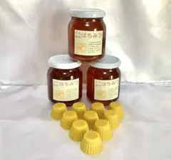 みらさん専用・日本蜜蜂の蜂蜜330g3本、蜜蝋10個セット
