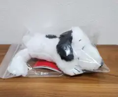SNOOPY スヌーピー くたっとカラフル ぬいぐるみ