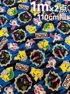 【大特価】【新品】【即日発送】ポケモン生地 オックス生地 1m×２点