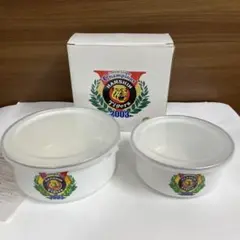 Item thumbnail for item a3c352cb-d2e6-49d6-a436-411825ef4405