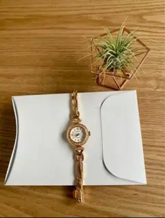 DIANA オリエント ダイアナ 数量限定 復刻記念モデル 2025年最新】DIANA その他の人気アイテム - メルカリ