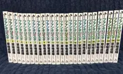 【ほぼ美品】ファンタジスタ 全25巻セット