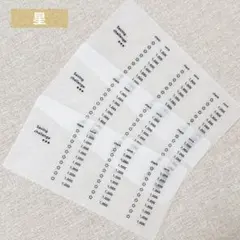 貯金シート　星　貯金リフィル　バインダー貯金　saving 韓国