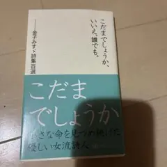 こだまでしょうか、いいえ、誰でも。―金子みすゞ詩集百選