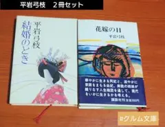文庫　『平岩弓枝』作品２冊セット　講談社　昭和レトロ　人気作品