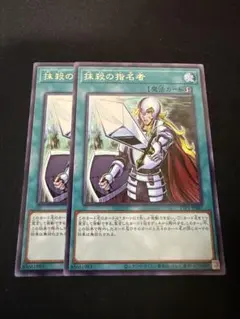 遊戯王　抹殺の指名者　字レア２枚セット