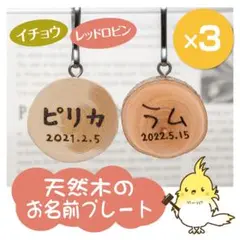Item thumbnail for item 4c83aee3-b654-4255-95cb-b04752081d37