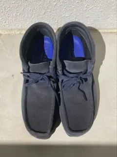 Item thumbnail for item e03f685b-2313-4c1f-974c-bb1366839365