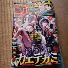 週刊少年ジャンプ ONE PIECE 30号