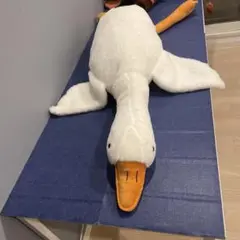 Item thumbnail for item 19bb5820-ddf7-41b6-888c-9cf296bf7c7f