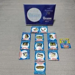 中日ドラゴンズ 2006年優勝記念 ピンバッジセット