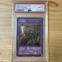 ブラックパラディン レリーフ psa10 ブラックパラディン レリーフ psa10