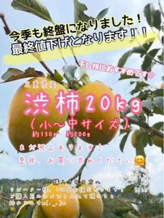 三重県産 加工用 渋柿(品種:はちや)箱込み20kg