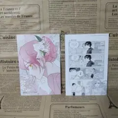 【特典のみ】虐げられの魔術師令嬢は、『氷狼宰相』様に溺愛される …他