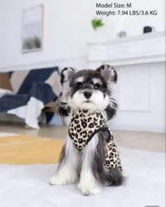 Item thumbnail for item bef48e48-76ea-4424-b8ff-23b98a717443