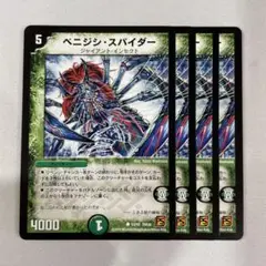 138462 ベニジシスパイダー
