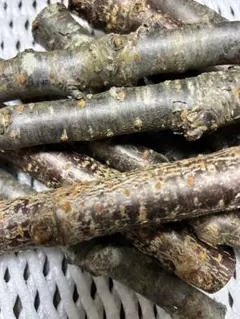 Item thumbnail for item ea3b5ad1-6723-453e-a147-aca534df7c99