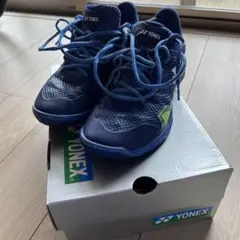 Item thumbnail for item 5c7c9d70-a26b-4019-a754-fafb93bd3704