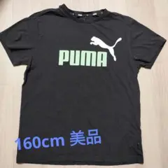 ✾PUMA プーマ 150-160cm Tシャツ✾