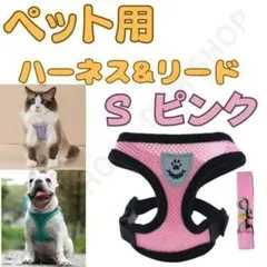 Item thumbnail for item ba2f1548-d9bc-4e3b-9189-2fa7e60cefd6