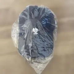 Item thumbnail for item 28280ef4-cf7d-4b54-88e8-c5dfd215b442