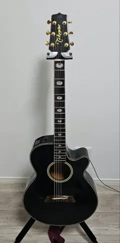 2025年最新】takamine nptの人気アイテム - メルカリ