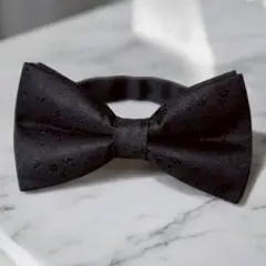 Item thumbnail for item 81b26305-9811-4765-925a-a4706a8e28da