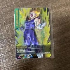 ドラゴンボールデータカードダス 限界突破 爆レア 079-Ⅰ
