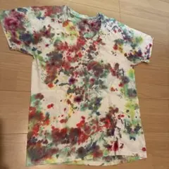 Hanes Comfortsoft ペンキTシャツ