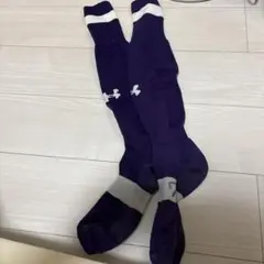 紫色 ラグビーストッキング 白いストライプ