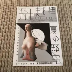 舟越桂 語りかけるまなざしDVD 舟越桂 語りかけるまなざし 《DVD》｜求龍堂