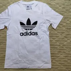 アディダス　ホワイト　半袖Tシャツ　2019　XS　古着　トレフォイル