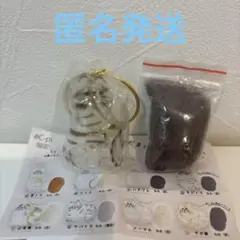 うちの子のけだまだま 国内正規品　キジトラ　限定