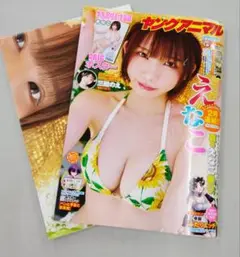 ヤングアニマル 2025年 No.16 えなこ　最新号