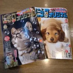 ビッグコミックオリジナル 8月5日 8月20日 2冊セット