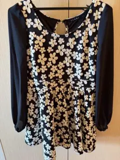 Item thumbnail for item 74f0e8af-e206-4f40-9888-1a414a0c2b40