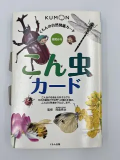 くもんの自然図鑑カード こん虫カード