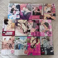 BL漫画 コミック まとめ売り 12冊