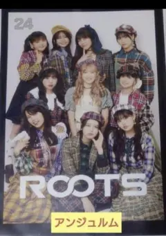 アンジュルム ROOTS 2024 秋ツアー ピンポス Part1 24 集合