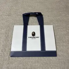 Item thumbnail for item 14d9f94f-6bef-4e59-a9a2-edb660fed3f5