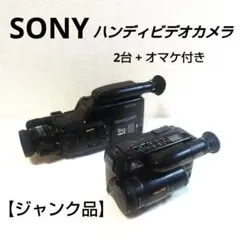 再録可能 SONY Hi8 ビデオカメラ CCD-TR705 + データ化セット 動作良好 VideoHi8ソニー CCD-TR705高画質8ミリビデオカメラ