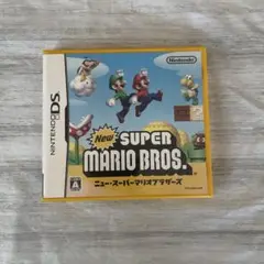 任天堂DSニュースーパーマリオブラザーズ ソフト