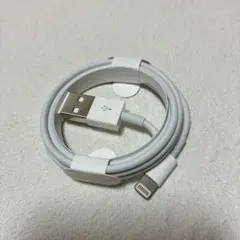 iPhone 正規品　充電器ケーブル+おまけ