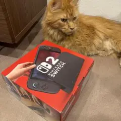 Item thumbnail for item 4076532f-f1ab-4071-b1cc-9805633a308b