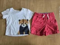 【再値下げ】無印良品/アライグマ Tシャツ　GAP/ハーフパンツ 赤 90サイズ