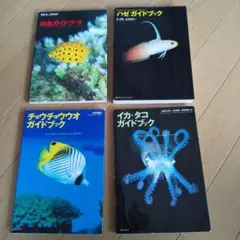チョウチョウウオ ガイドブック まとめ売り