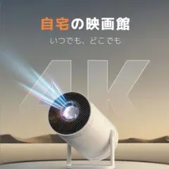 Item thumbnail for item 94fb0316-7724-4f86-8429-f2b3ef104983